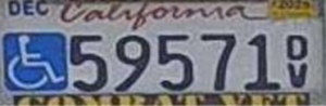 Specialty Plates with Stacked Characters